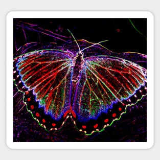 Neon Butterfly Sticker